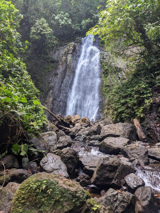 Drakes Bay Corcovado Mountain House酒店 外观 照片